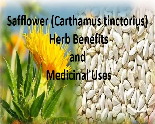 Safflower: benefits, uses & planting - Plantura