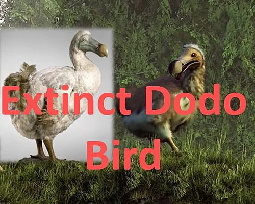 What Happened to the Dodo Bird? - WorldAtlas