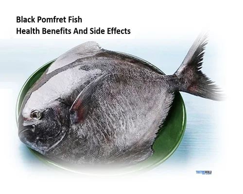 dried-fish-eating-health-benefits-and-side-effect