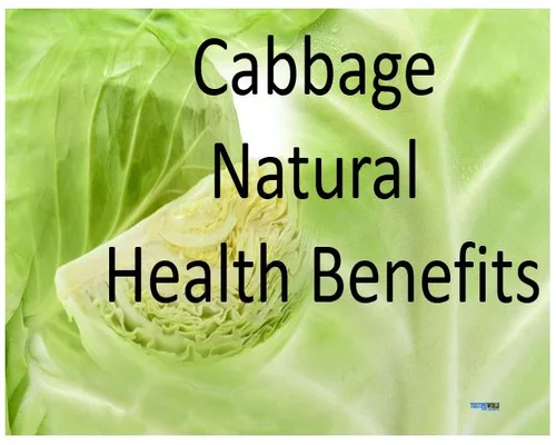 Cabbage Natural Benefits and Medical Health Benefits